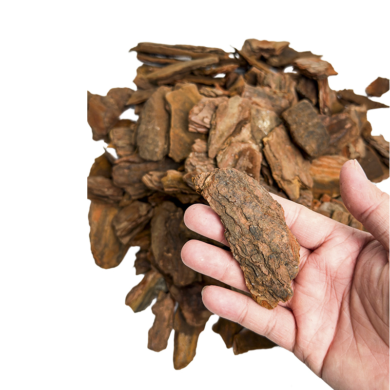 Pine Bark Bulk Factory Wholesale! Landscaping Organic Mulch Naturally Fermented Pine Scale Pine Bark